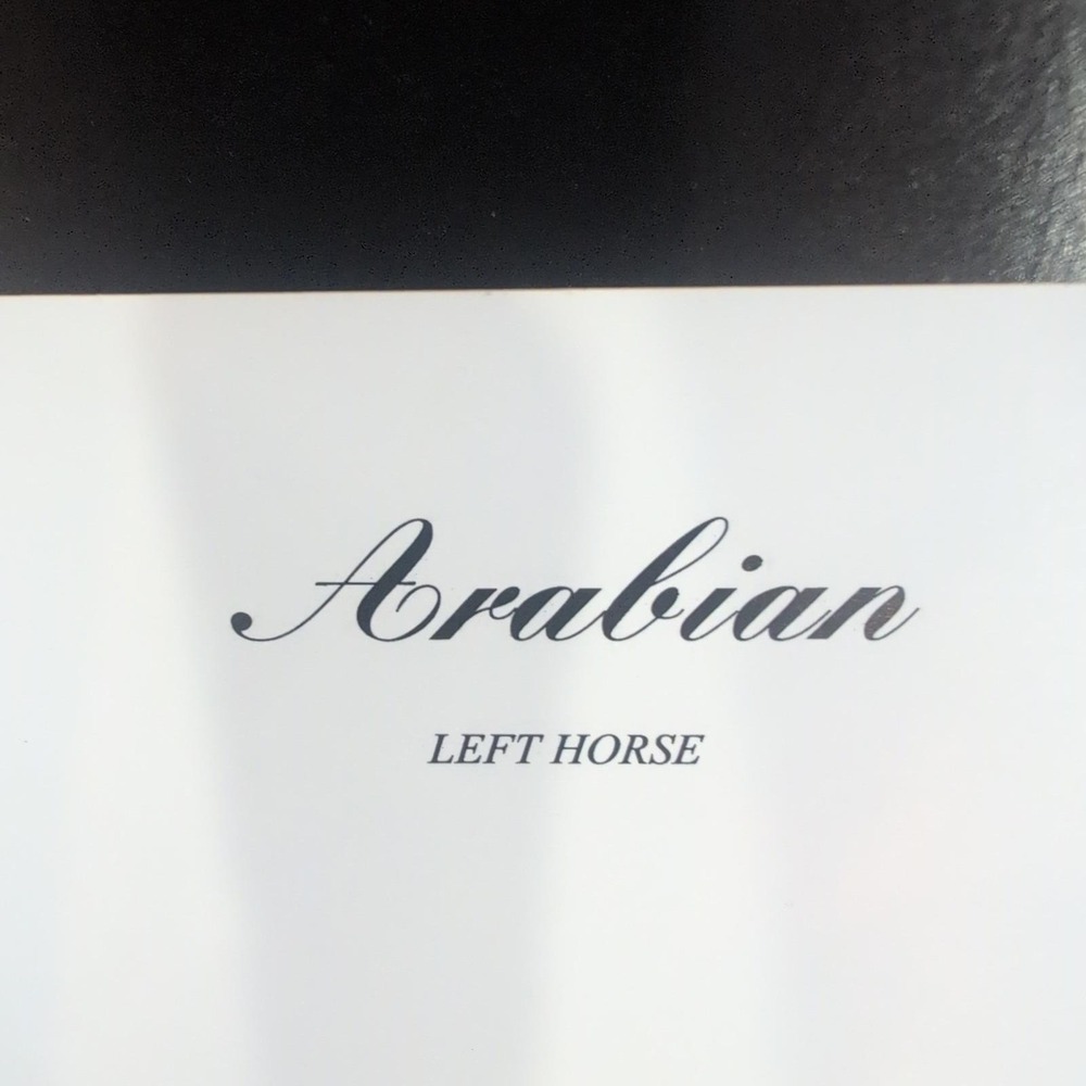 Sonia Torres Limited Edition, Numbered, Signed Arabian Left Horse Artist's Print - Picture 5 of 8